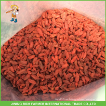 Fabricante La alta calidad Ningxia secó la baya 380grains / 50g de Goji para la exportación